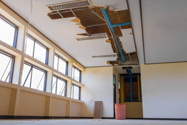 Best Carpet water damage restoration  in Napoleon, OH