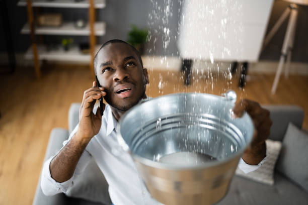 Best Sewage cleanup and water damage restoration  in Napoleon, OH