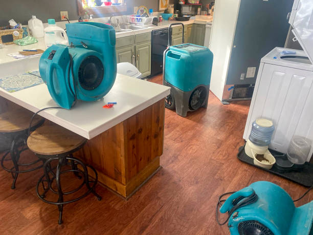 Reliable Napoleon, OH Water damage restoration Solutions
