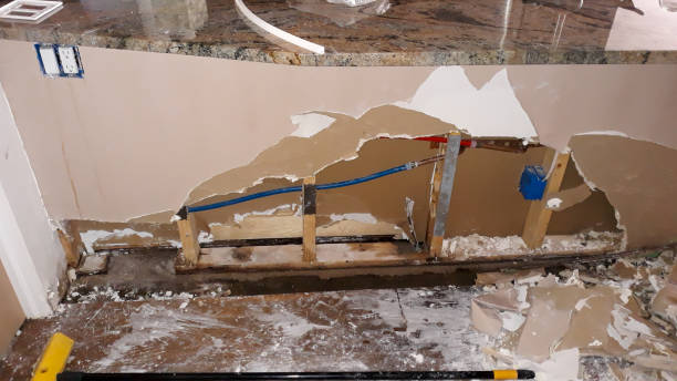Best Flood damage cleanup  in Napoleon, OH