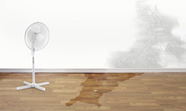  Napoleon, OH Water damage restoration Pros