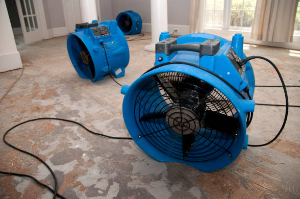 Best Water damage restoration insurance claims  in Napoleon, OH