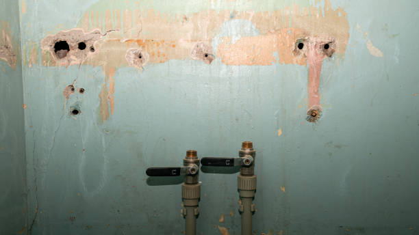 Best Basement water damage restoration  in Napoleon, OH