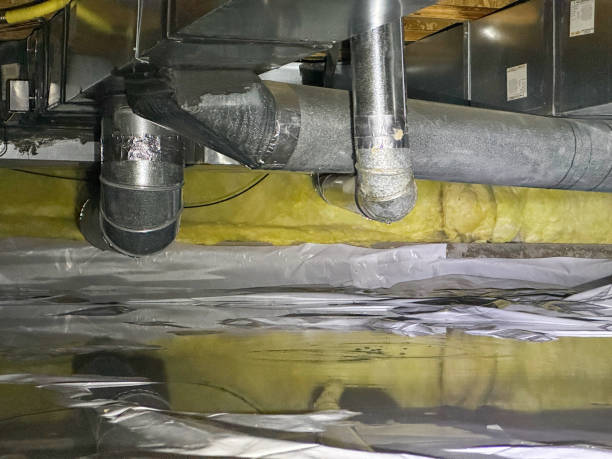 Best 24-hour water damage restoration  in Napoleon, OH