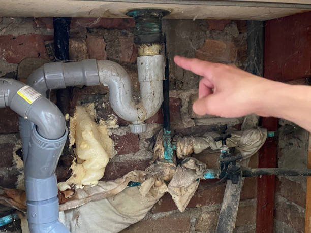 Best Basement water damage restoration  in Napoleon, OH